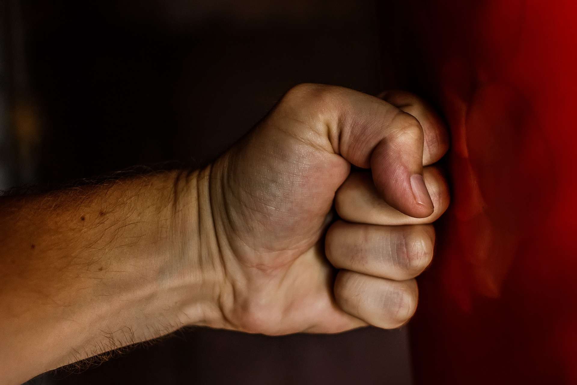 fist 1561157 1920
