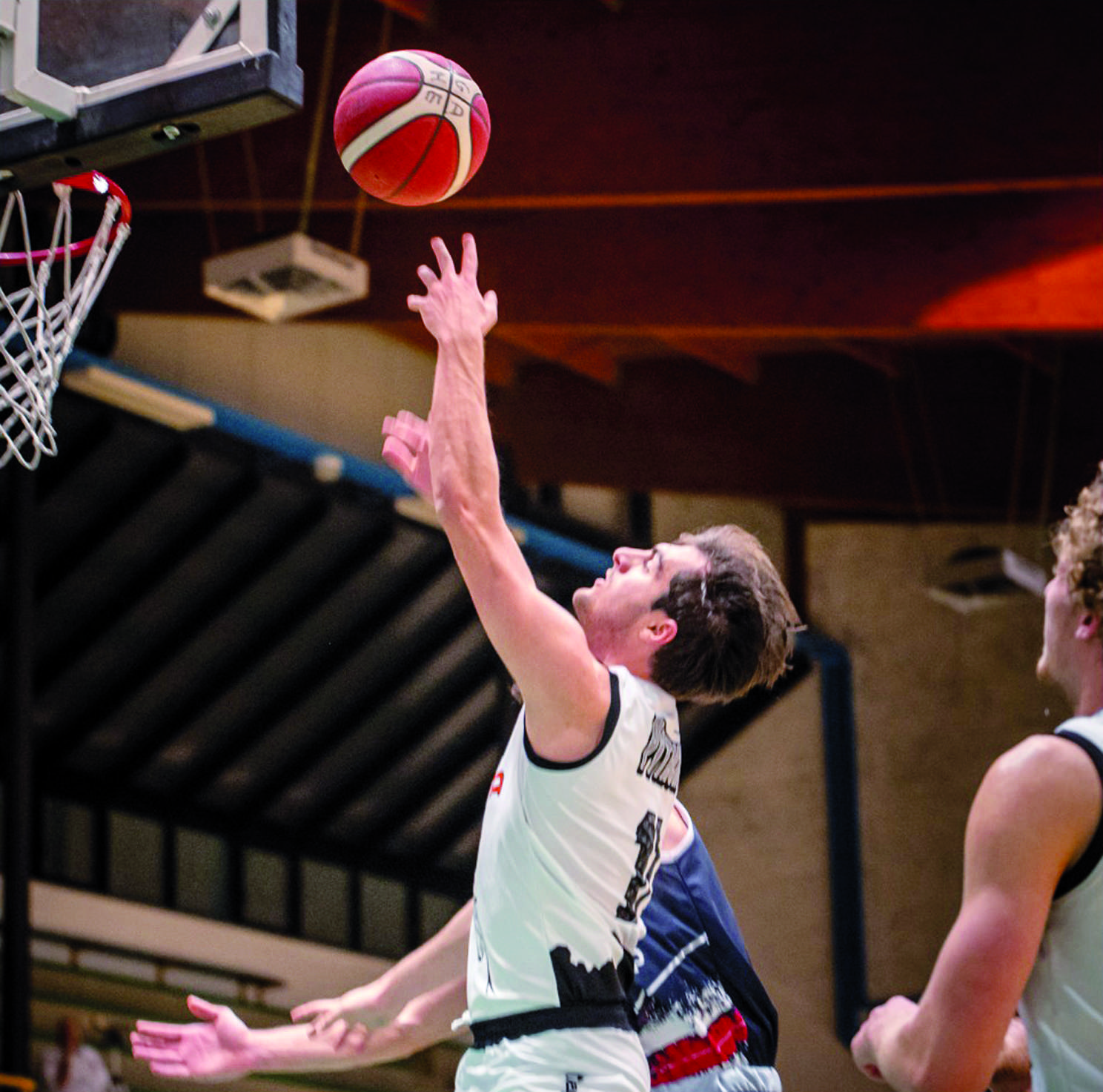 pallacanestro monteclarense 24