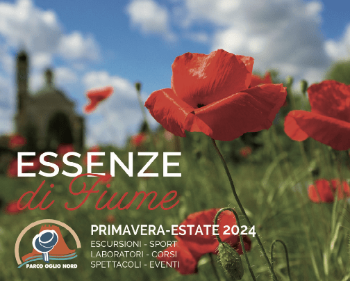 Screenshot 2024 05 27 alle 12.59.10
