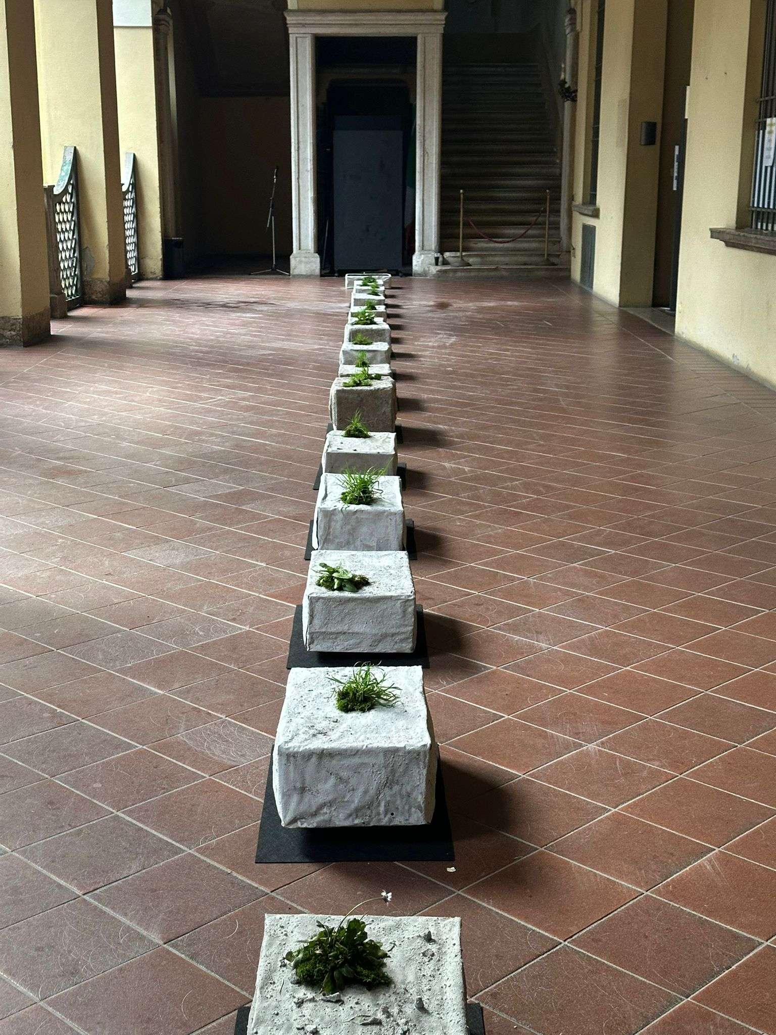 La luce nel buio (21)
