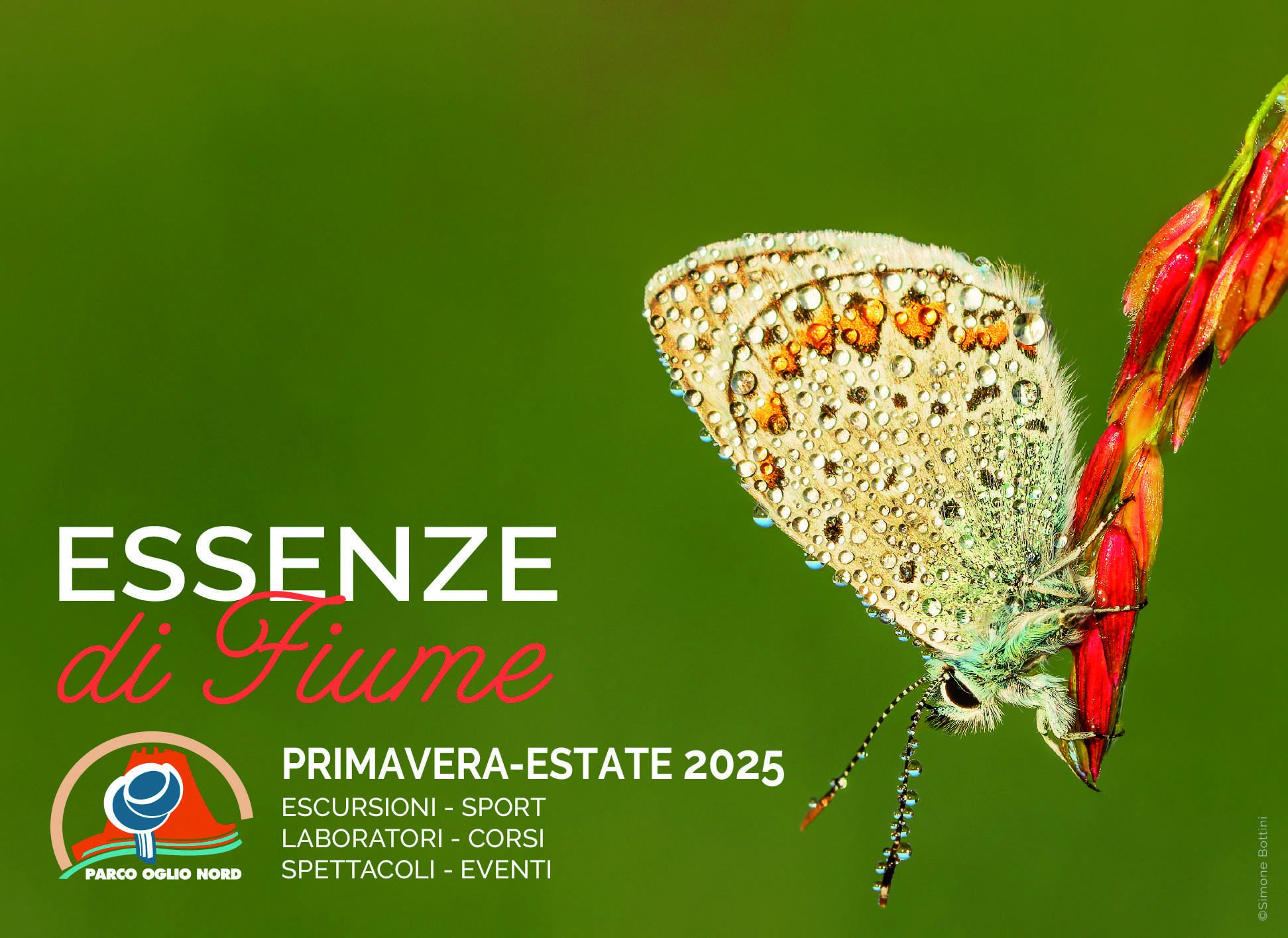 primavera 2025 COPERTINA copia 2