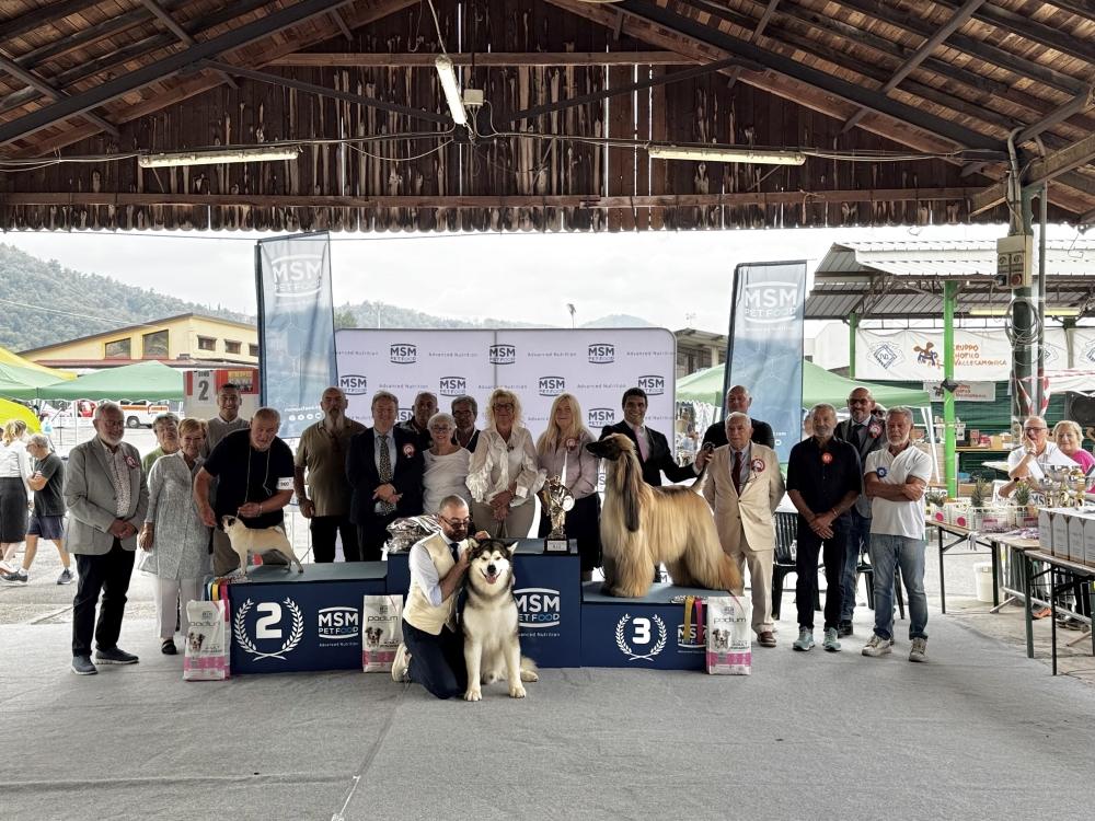 Foto evento
