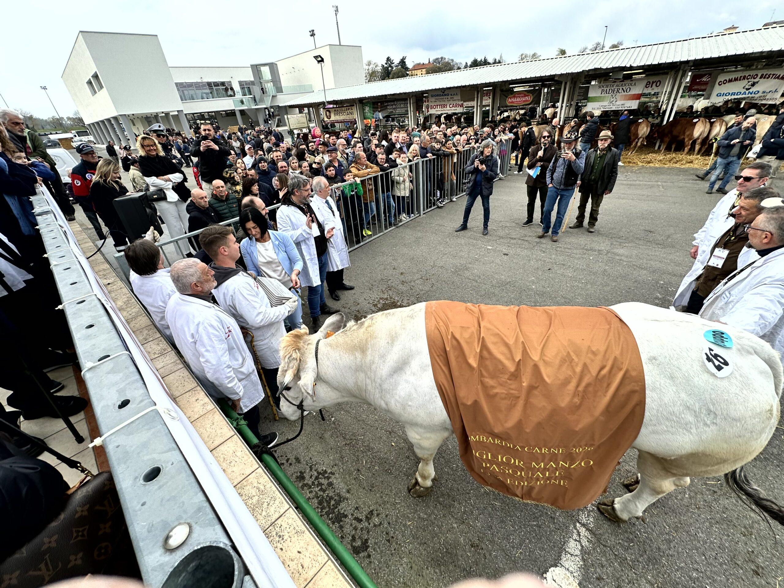 foto per articolo lombardia carne
